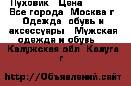 Пуховик › Цена ­ 2 000 - Все города, Москва г. Одежда, обувь и аксессуары » Мужская одежда и обувь   . Калужская обл.,Калуга г.